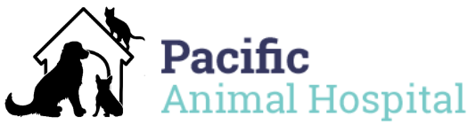 Pacific Animal Hospital